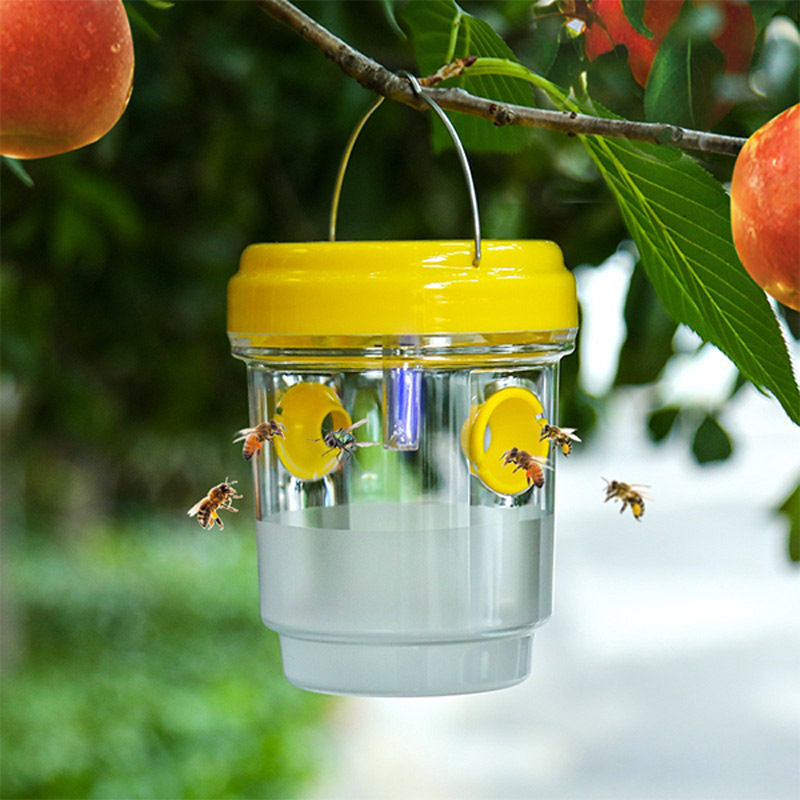 Outdoor Lighting Company - Solar Powered Fruit Fly Traps Garden