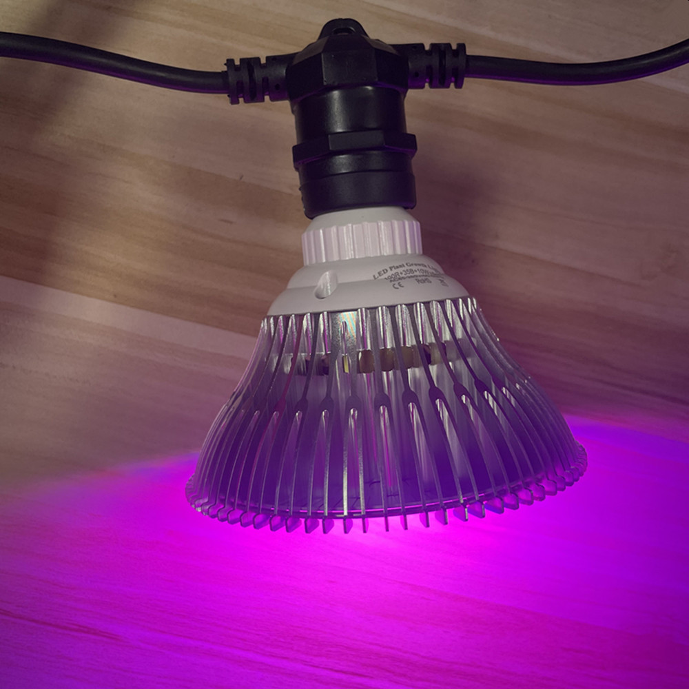 10M Cable LED String Commercia - огляд і ціна Lighting Wedding Outdoor