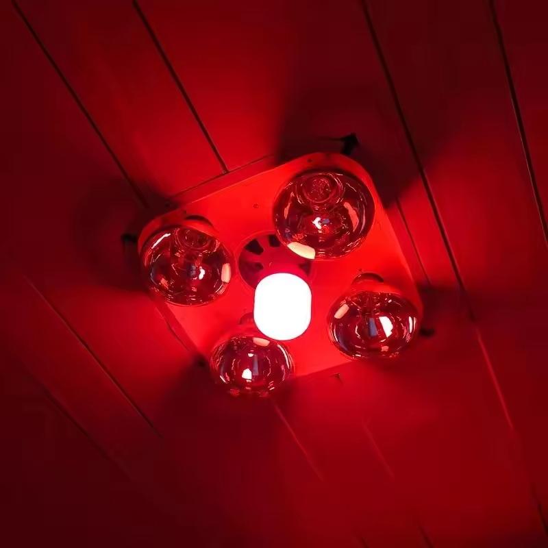 New High Power Red LED Light B - огляд і ціна Outdoor Lighting Solar